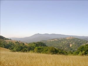 Hiking Marin Trails