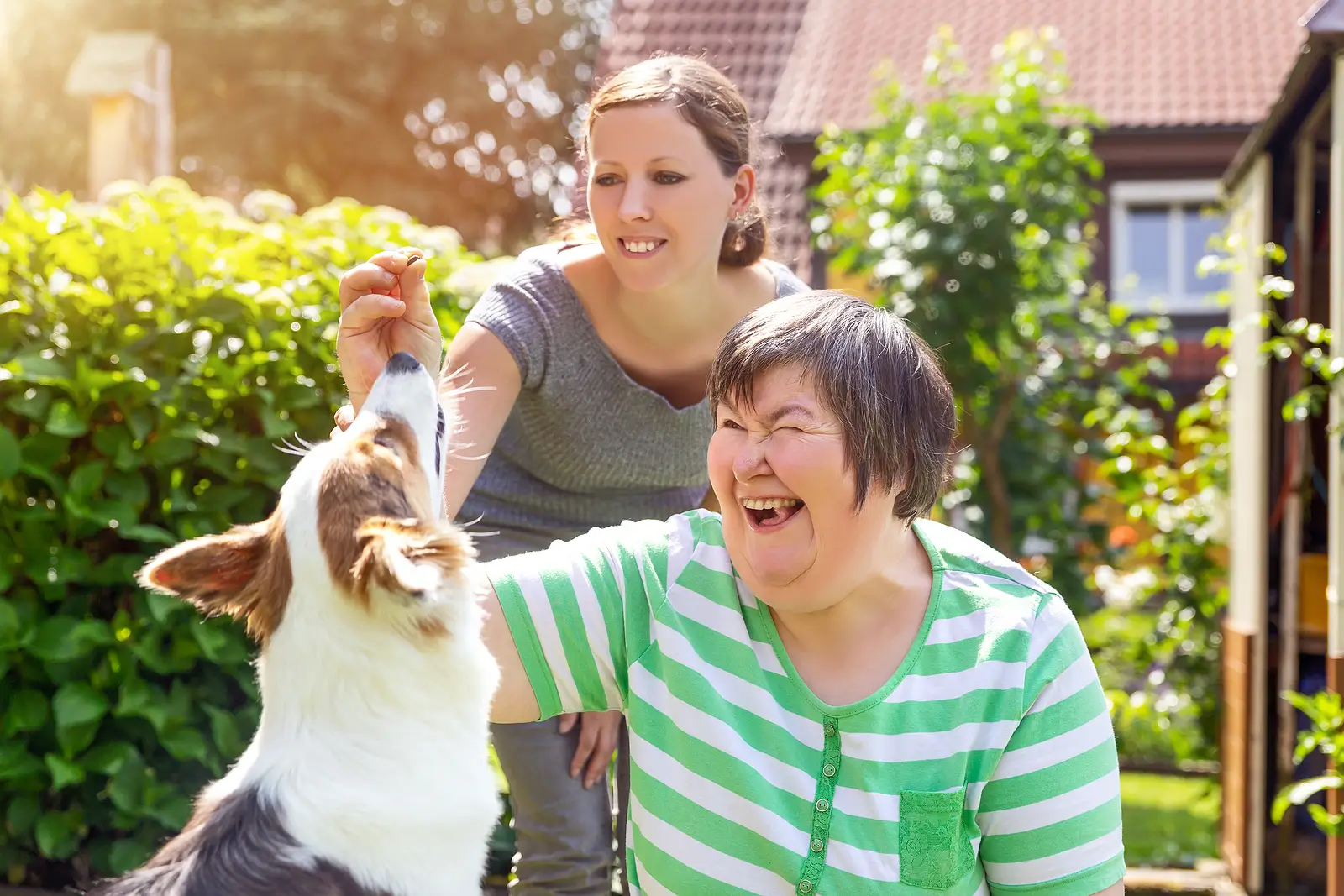 Pets vs. Emotional Support Animals vs. Service Animals: What San Rafael Landlords Need to Know