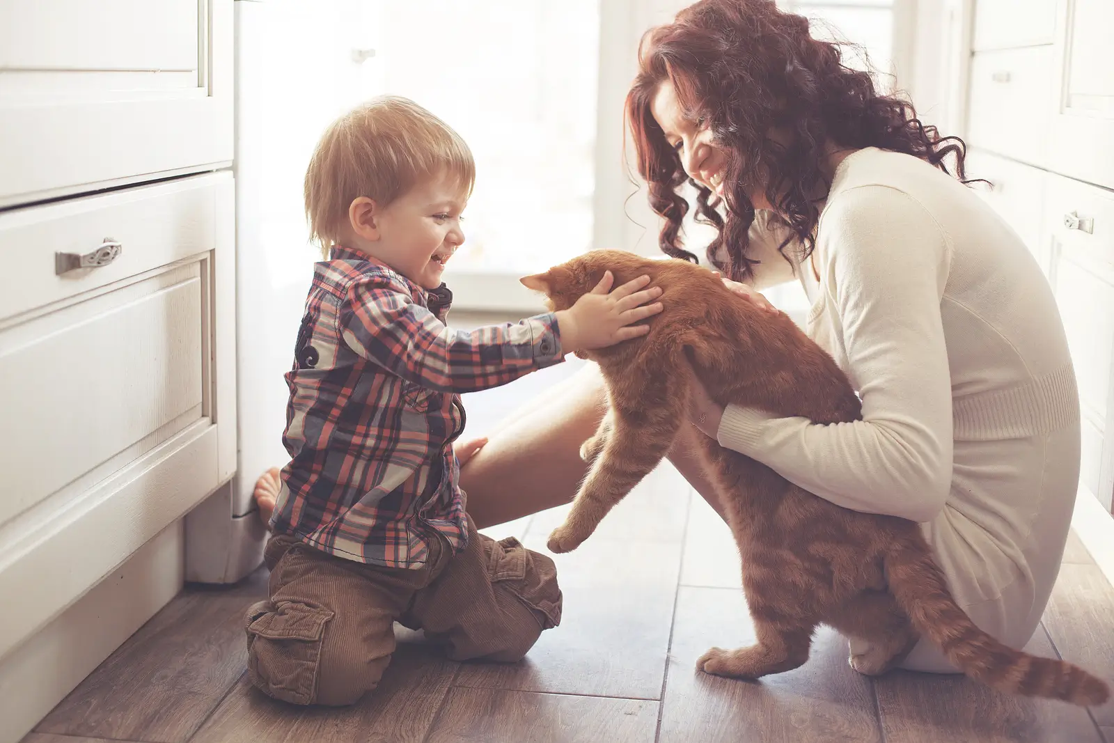 Pet-Friendly Rental Properties in San Rafael, CA: Pros, Cons, and Best Practices